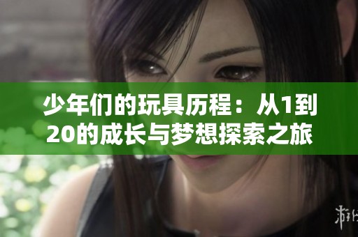 少年们的玩具历程：从1到20的成长与梦想探索之旅