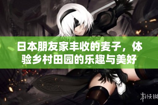日本朋友家丰收的麦子，体验乡村田园的乐趣与美好