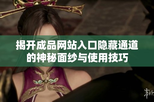 揭开成品网站入口隐藏通道的神秘面纱与使用技巧