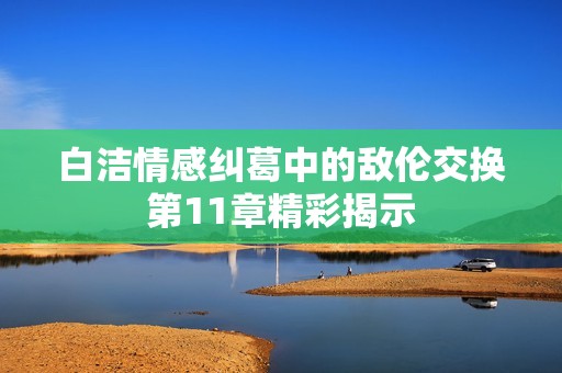 白洁情感纠葛中的敌伦交换第11章精彩揭示