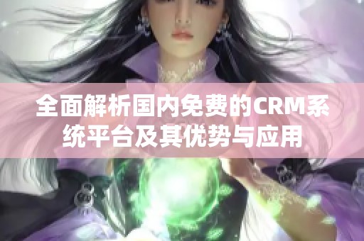 全面解析国内免费的CRM系统平台及其优势与应用