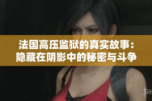 法国高压监狱的真实故事：隐藏在阴影中的秘密与斗争