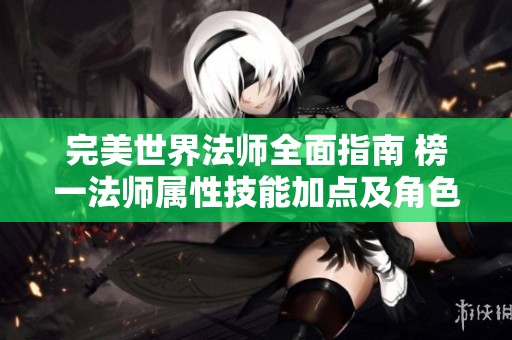 完美世界法师全面指南 榜一法师属性技能加点及角色发展策略分享