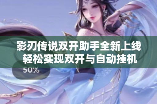 影刃传说双开助手全新上线 轻松实现双开与自动挂机功能的最佳选择