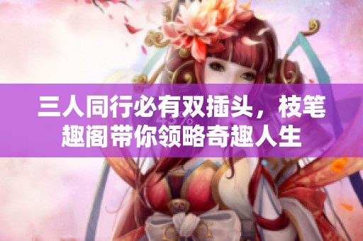 三人同行必有双插头，枝笔趣阁带你领略奇趣人生
