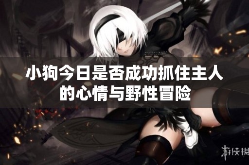 小狗今日是否成功抓住主人的心情与野性冒险