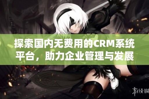 探索国内无费用的CRM系统平台，助力企业管理与发展