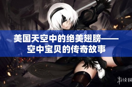 美国天空中的绝美翅膀——空中宝贝的传奇故事