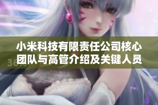 小米科技有限责任公司核心团队与高管介绍及关键人员背景查询