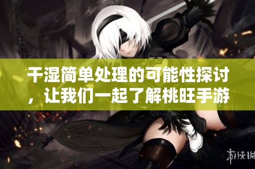 干湿简单处理的可能性探讨，让我们一起了解桃旺手游网的精彩内容