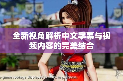 全新视角解析中文字幕与视频内容的完美结合