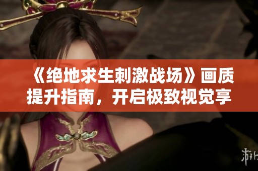 《绝地求生刺激战场》画质提升指南，开启极致视觉享受，打造个性化的游戏体验