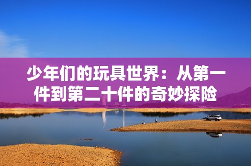 少年们的玩具世界：从第一件到第二十件的奇妙探险