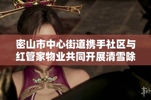 密山市中心街道携手社区与红管家物业共同开展清雪除冰活动 提升城市环境质量