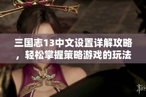 三国志13中文设置详解攻略，轻松掌握策略游戏的玩法技巧与乐趣体验