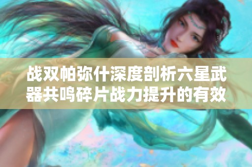 战双帕弥什深度剖析六星武器共鸣碎片战力提升的有效策略与方法
