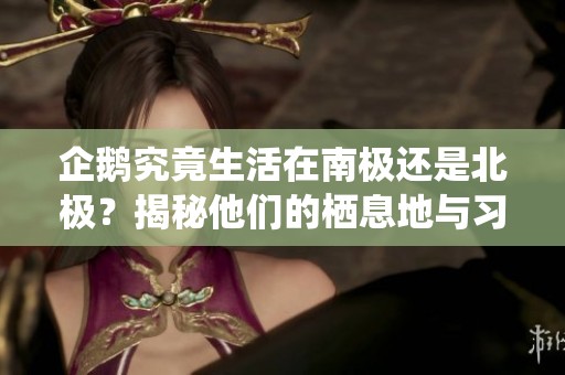 企鹅究竟生活在南极还是北极？揭秘他们的栖息地与习性