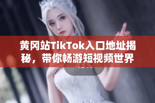 黄冈站TikTok入口地址揭秘，带你畅游短视频世界