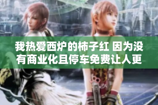 我热爱西炉的柿子红 因为没有商业化且停车免费让人更感亲切