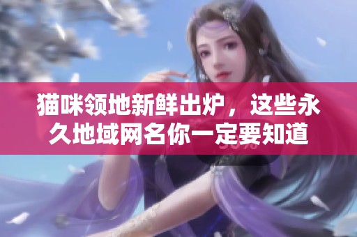 猫咪领地新鲜出炉，这些永久地域网名你一定要知道