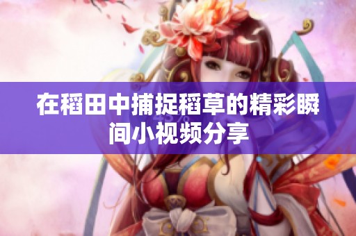 在稻田中捕捉稻草的精彩瞬间小视频分享