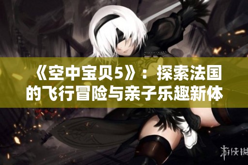 《空中宝贝5》：探索法国的飞行冒险与亲子乐趣新体验