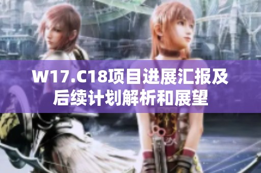 W17.C18项目进展汇报及后续计划解析和展望