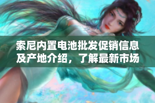 索尼内置电池批发促销信息及产地介绍，了解最新市场价格与产品优势