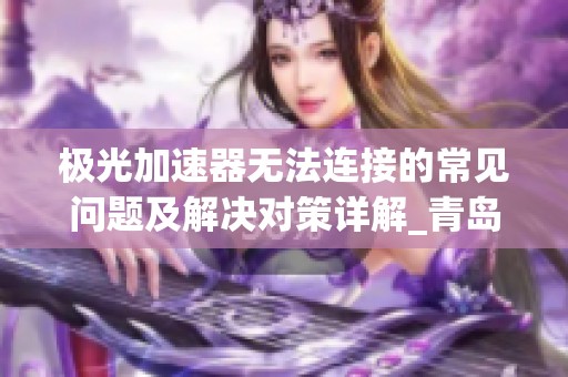 极光加速器无法连接的常见问题及解决对策详解_青岛杜美指南