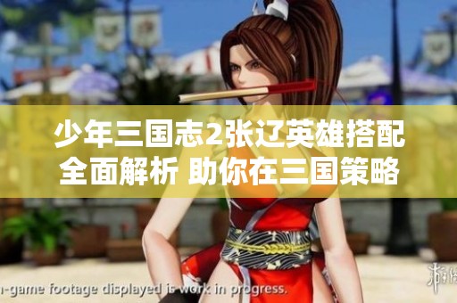 少年三国志2张辽英雄搭配全面解析 助你在三国策略战中迅速崛起