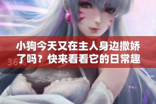 小狗今天又在主人身边撒娇了吗？快来看看它的日常趣事！