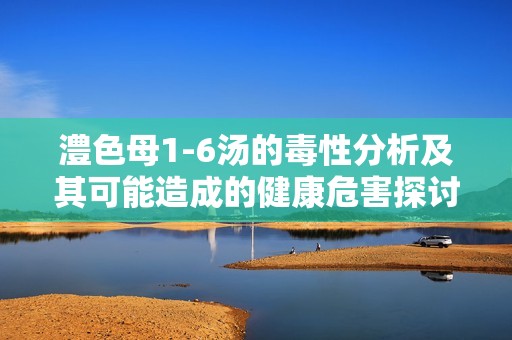 澧色母1-6汤的毒性分析及其可能造成的健康危害探讨