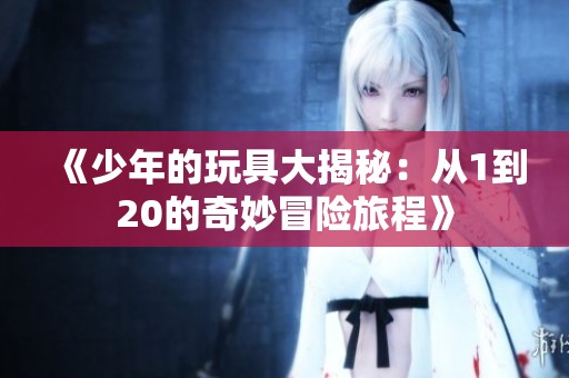 《少年的玩具大揭秘：从1到20的奇妙冒险旅程》