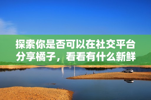 探索你是否可以在社交平台分享橘子，看看有什么新鲜事！