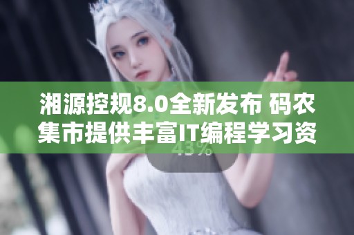 湘源控规8.0全新发布 码农集市提供丰富IT编程学习资源供您参考与下载