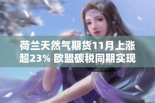 荷兰天然气期货11月上涨超23% 欧盟碳税同期实现6%增长