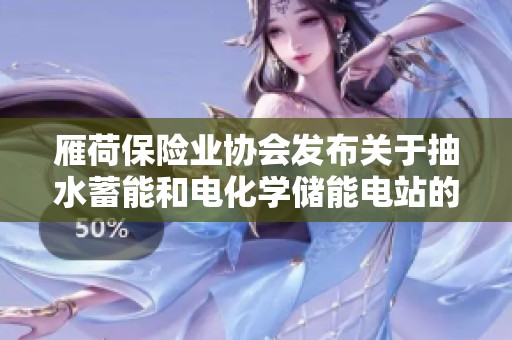 雁荷保险业协会发布关于抽水蓄能和电化学储能电站的全面保险风险评估指南