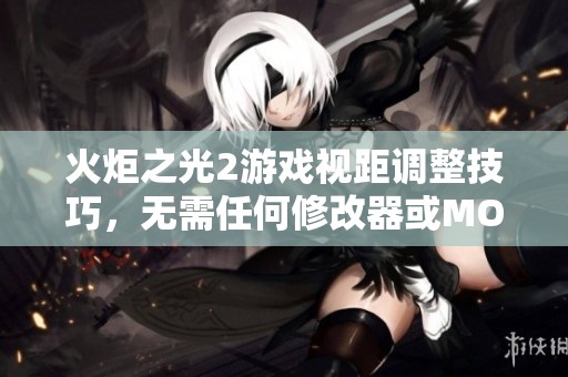 火炬之光2游戏视距调整技巧，无需任何修改器或MOD轻松实现的方法分享