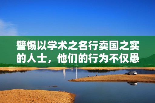 警惕以学术之名行卖国之实的人士，他们的行为不仅愚蠢更是极其恶劣！
