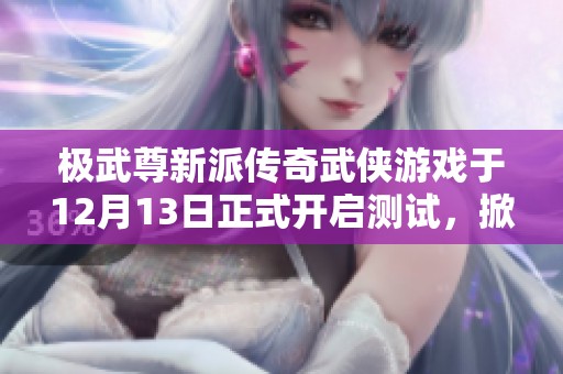 极武尊新派传奇武侠游戏于12月13日正式开启测试，掀起武侠新纪元的热潮与期待！