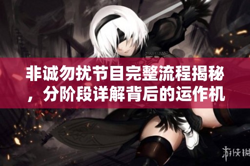 非诚勿扰节目完整流程揭秘，分阶段详解背后的运作机制与步骤