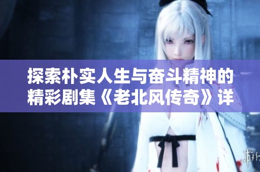 探索朴实人生与奋斗精神的精彩剧集《老北风传奇》详细揭秘与观看途径介绍