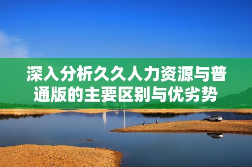 深入分析久久人力资源与普通版的主要区别与优劣势