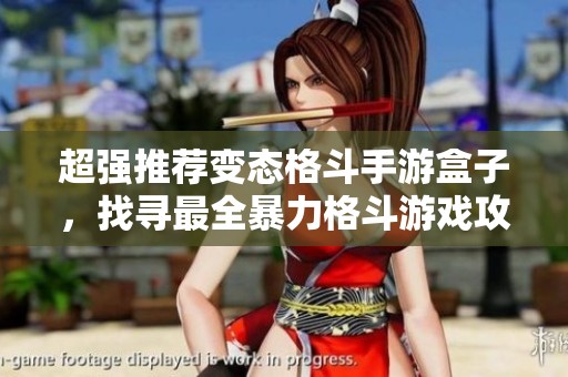 超强推荐变态格斗手游盒子，找寻最全暴力格斗游戏攻略和秘籍