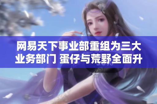 网易天下事业部重组为三大业务部门 蛋仔与荒野全面升级为独立事业部