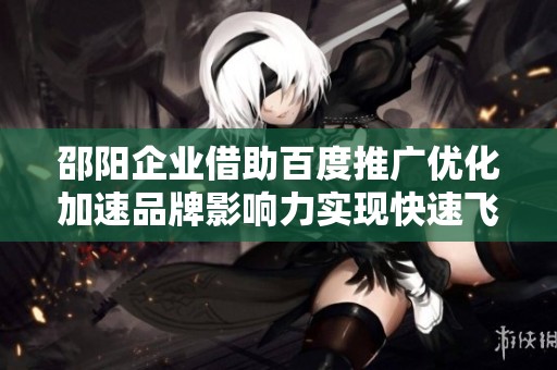 邵阳企业借助百度推广优化加速品牌影响力实现快速飞跃的新机遇