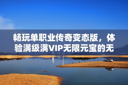 畅玩单职业传奇变态版，体验满级满VIP无限元宝的无尽乐趣与自由游戏体验