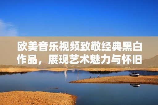 欧美音乐视频致敬经典黑白作品，展现艺术魅力与怀旧情怀