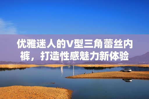 优雅迷人的V型三角蕾丝内裤，打造性感魅力新体验