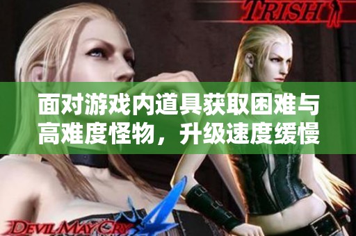 面对游戏内道具获取困难与高难度怪物，升级速度缓慢的挑战如何应对